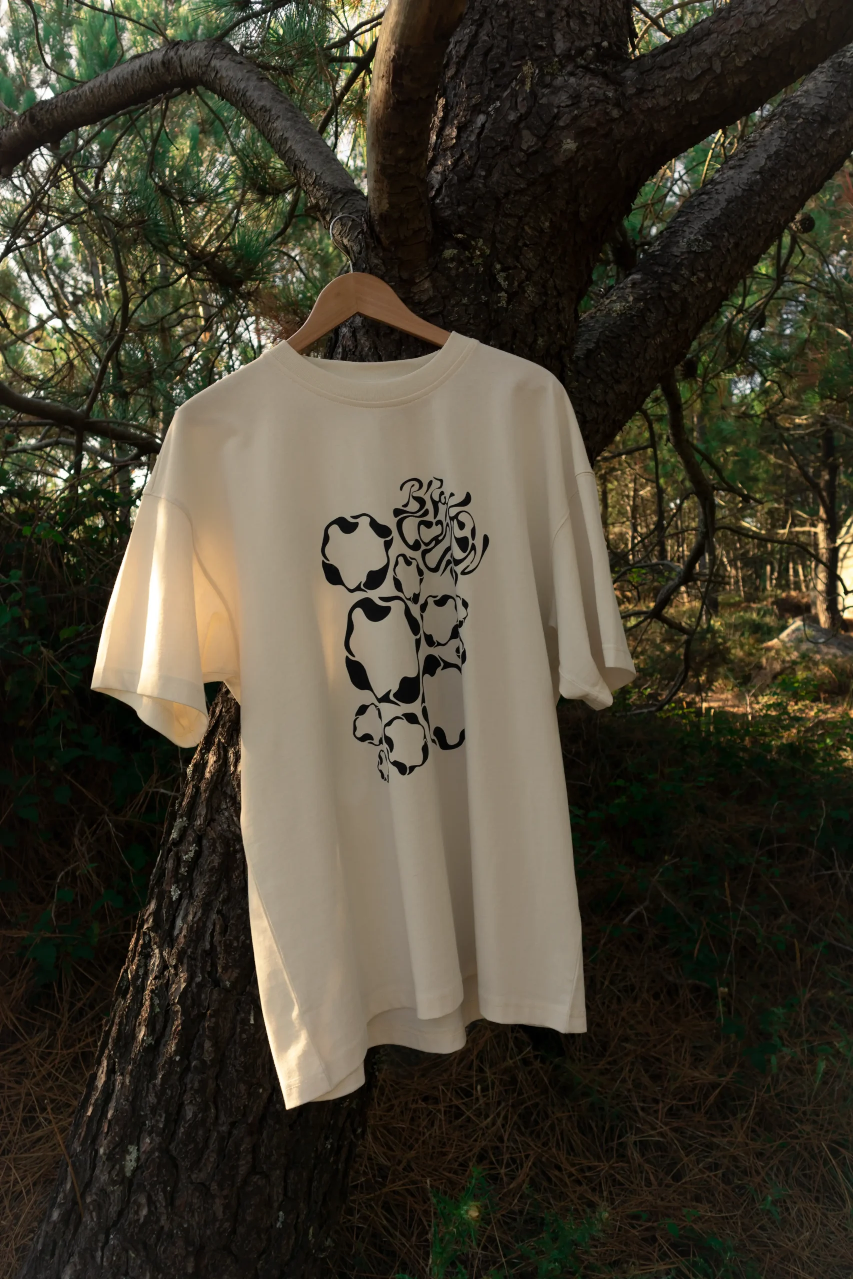 Descripción de la imagen 2