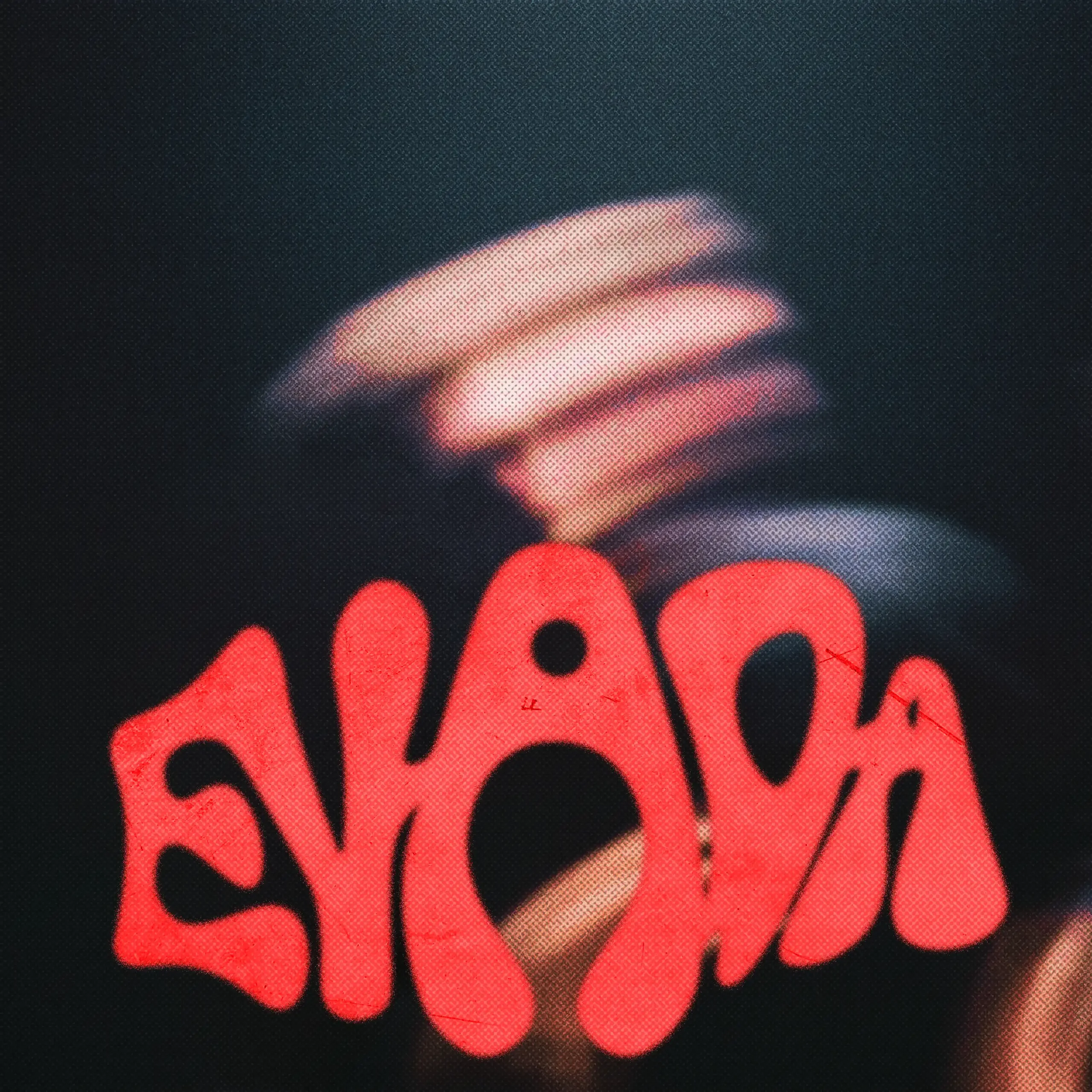 Descripción de la imagen 2